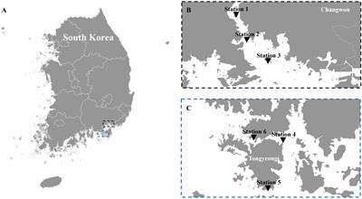 Propidium Monoazide based selective iDNA monitoring method improves eDNA monitoring for harmful algal bloom Alexandrium species